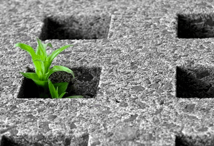 Cementificazione - foto di alternativasostenibile.it