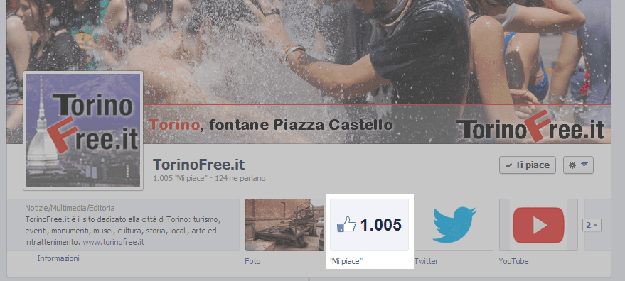 Mille fan seguono TorinoFree su Facebook