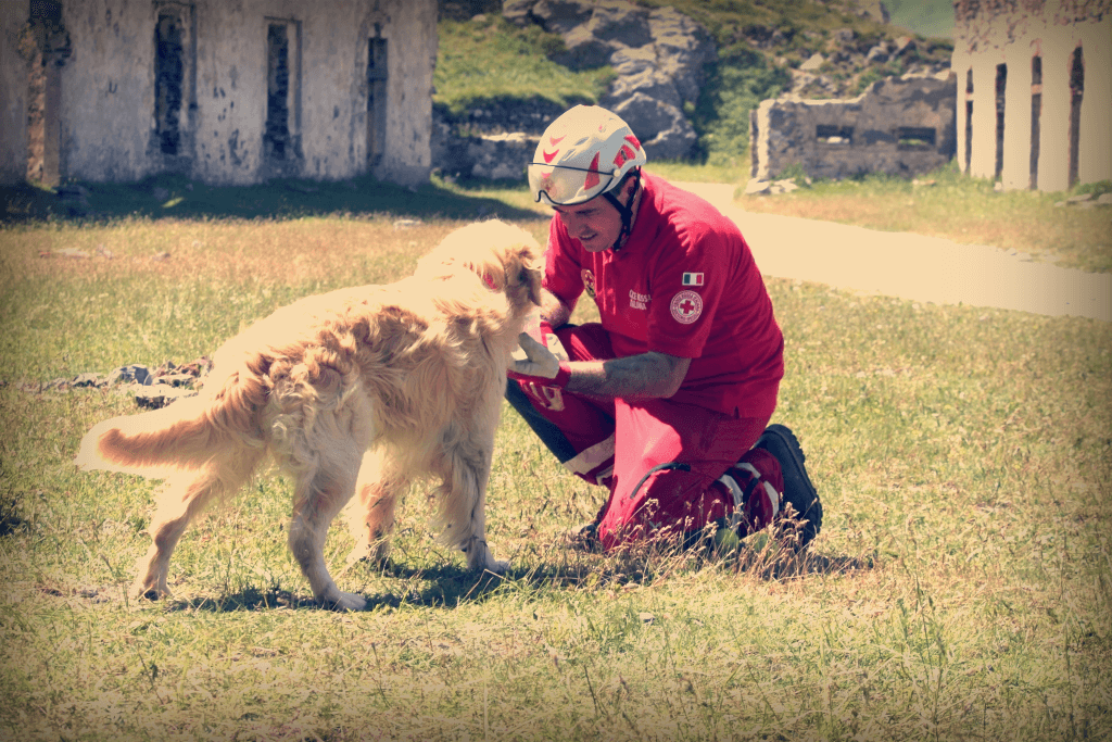 Unità cinofila Croce Rossa