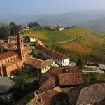 Cultura ed enogastronomia in provincia di Cuneo: Goodwine Neviglie 2013