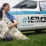 Torino ha la vetmobile, il veterinario a domicilio