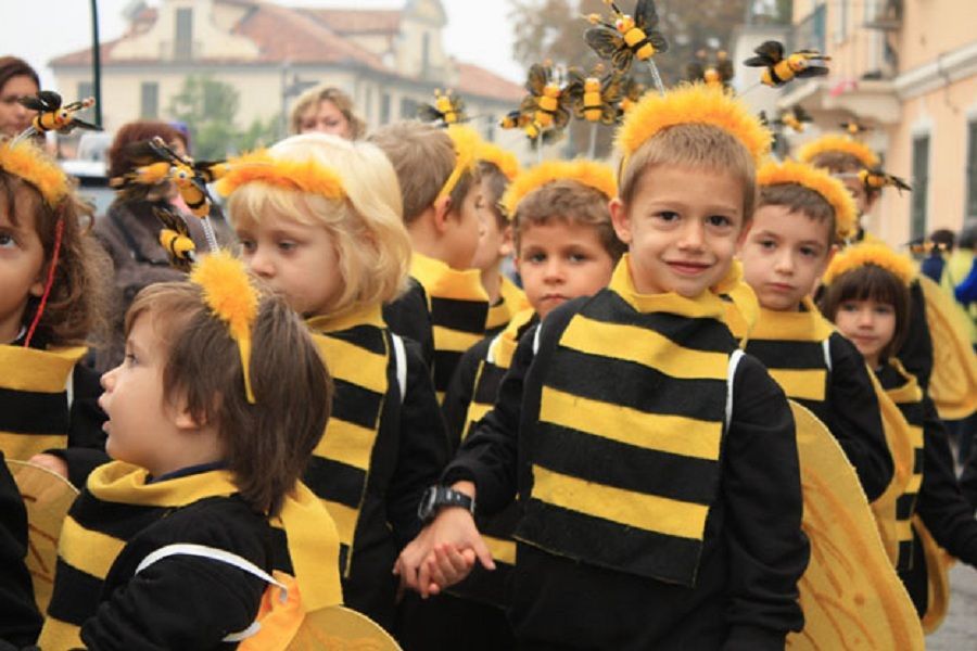 attimi della manifestazione del 2012