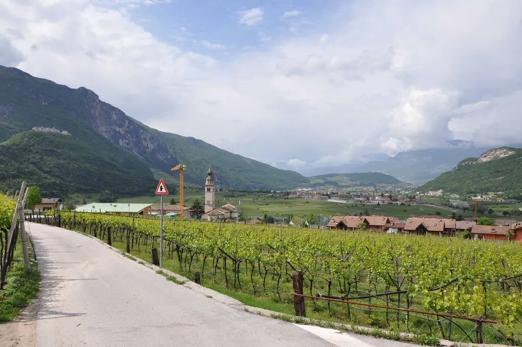 Domenica 29 settembre il secondo trail del moscato, camminata enogastronomica