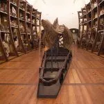 Il Museo Regionale di Scienze Naturali di Torino riaprirà a fine anno?