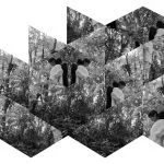 Stupinigi Fertile presenta il workshop con Sandrine Nicoletta