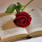 Torino,  23 aprile è Giornata Mondiale del Libro e del Diritto d’Autore : Portici di Carta, rose  e Flash Mob