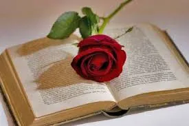 Torino, 23 aprile è Giornata Mondiale del Libro e del Diritto d’Autore : Portici di Carta, rose e Flash Mob