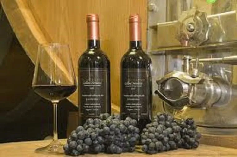 Piemonte, turismo enogastronomico in crescita