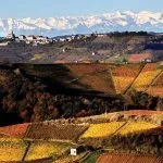 Auto e Langhe a Torino