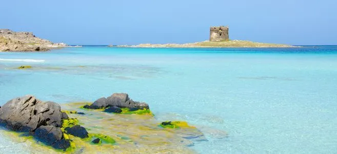 All Tours Club, idee e soluzioni per le vacanze