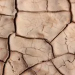 Un webinar sulla crisi climatica: ecco perché dovremmo preoccuparci
