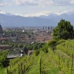 Torino: al via il bando per gli eventi estivi