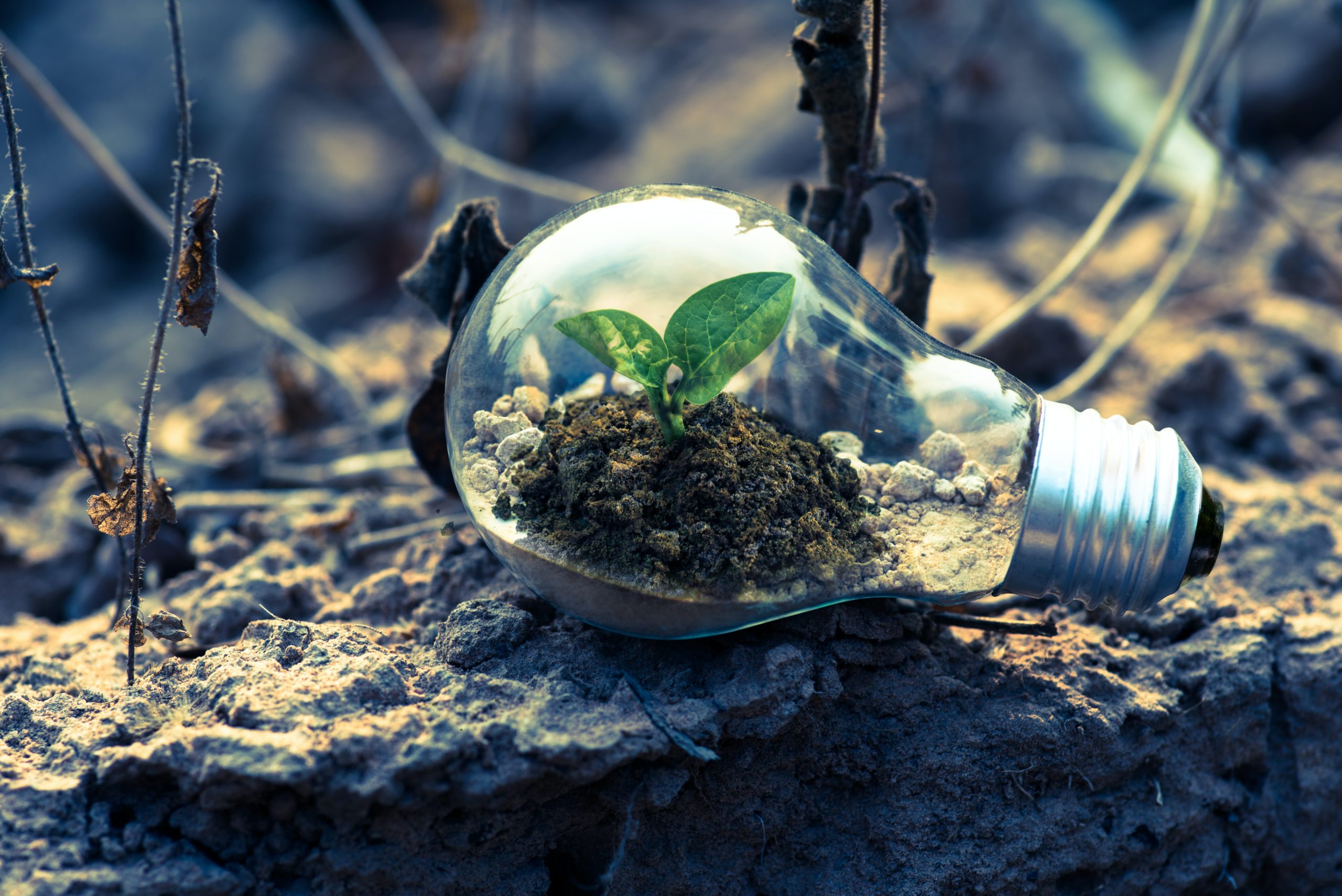 Per Salvaguardare I Consumi Di Energia è Preferibile Come ridurre gli sprechi energetici e salvaguardare l’ambiente - Torino
