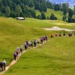 Transumanza di Comunità, la camminata teatrale in programma il 6 Giugno