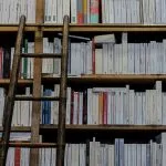 Torino: la cultura, bene primario ed essenziale della comunità