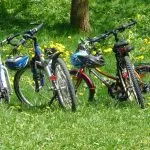 10 attività da fare all’aperto a Torino