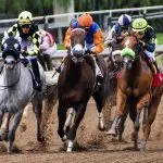 Un’altra domenica di corse e spettacolo all’ippodromo di Vinovo