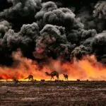 Steve McCurry: il maestro della fotografia in mostra con la nuova serie ‘ANIMALS’