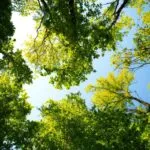 Parco di Villa Genero: il Comune investe 500mila euro per la riqualificazione
