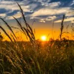 Terra Madre Salone Gusto: l’evento di Slow Food si terrà a Parco Dora