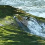 Dai bacini idroelettrici acqua per l’agricoltura