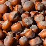 Cortemilia presenta venerdì 15 luglio la Fiera Nazionale della Nocciola