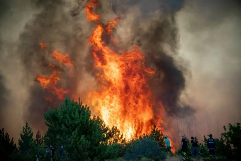 Revocato lo stato di massimo pericolo per incendi boschivi in Piemonte
