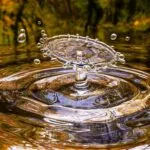 Università di Torino: nasce la prima scuola internazionale per il riuso d’acqua