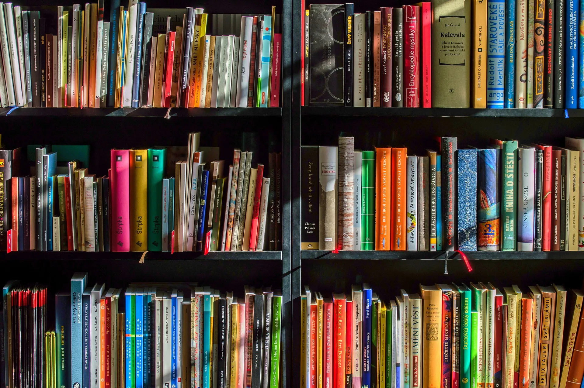 Torino: tutto sulla nuova biblioteca in Via Viterbo
