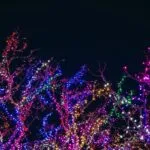 Moncalieri: gli auguri del Sindaco e Il Giardino delle Rose s’illumina per Natale