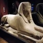 Musei di Torino: grande successo durante il periodo natalizio, i numeri