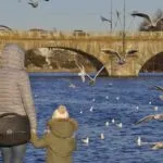 Torino sempre meno abitata: scende a 860 mila abitanti ma con forte aumento dei residenti stranieri