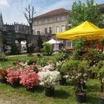 Fiori & Vini 2023 a Carignano: mostra mercato