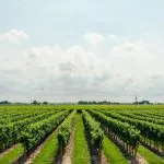 Viaggio in Piemonte: Alba