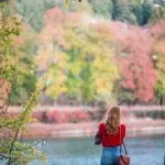 Speakers’ Corner a Torino: nella città arriverà l’angolo degli oratori ispirato a Londra