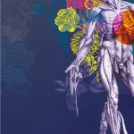 La Fabrica dei Corpi: Vesalio e l’anatomia per la cura – uno spettacolo che fonde storia e tecnologia