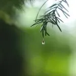 Previsioni meteo in Piemonte: piogge in arrivo nella settimana dall’11 al 17 novembre 2024