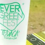 Evergreen Fest 2025 a Torino: dal 5 giugno al 20 luglio concerti, laboratori e spettacoli