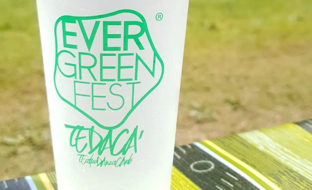 Evergreen Fest 2025 a Torino: dal 5 giugno al 20 luglio concerti, laboratori e spettacoli