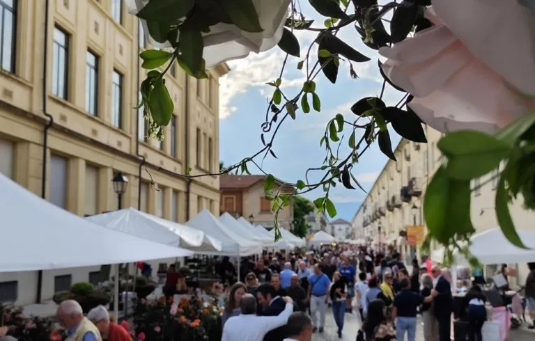 Festa delle Rose 2025: torna la storica manifestazione a Venaria Reale