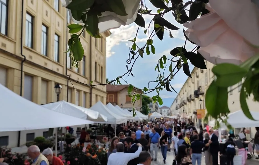 Festa delle Rose 2025: torna la storica manifestazione a Venaria Reale