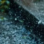 Anno record per le piogge in Piemonte: nel 2024 superato il +40% di precipitazioni in media