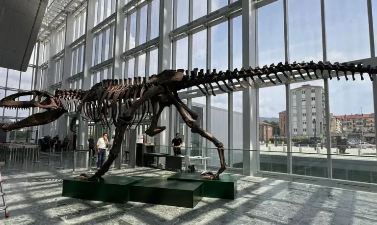 Un grande dinosauro esposto nell’atrio del grattacielo della Regione Piemonte