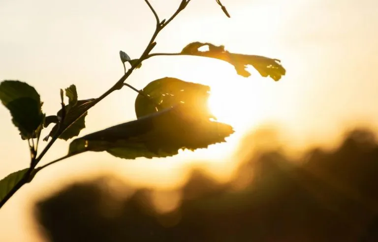 Ondata di caldo in Piemonte: bollino arancione, temperature fino a 34 gradi