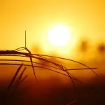 Ondate di calore in Piemonte: fino al 20 settembre attivo il programma di tutela
