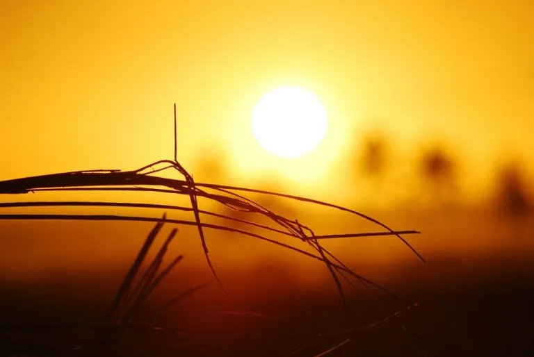Ondate di calore in Piemonte: fino al 20 settembre attivo il programma di tutela