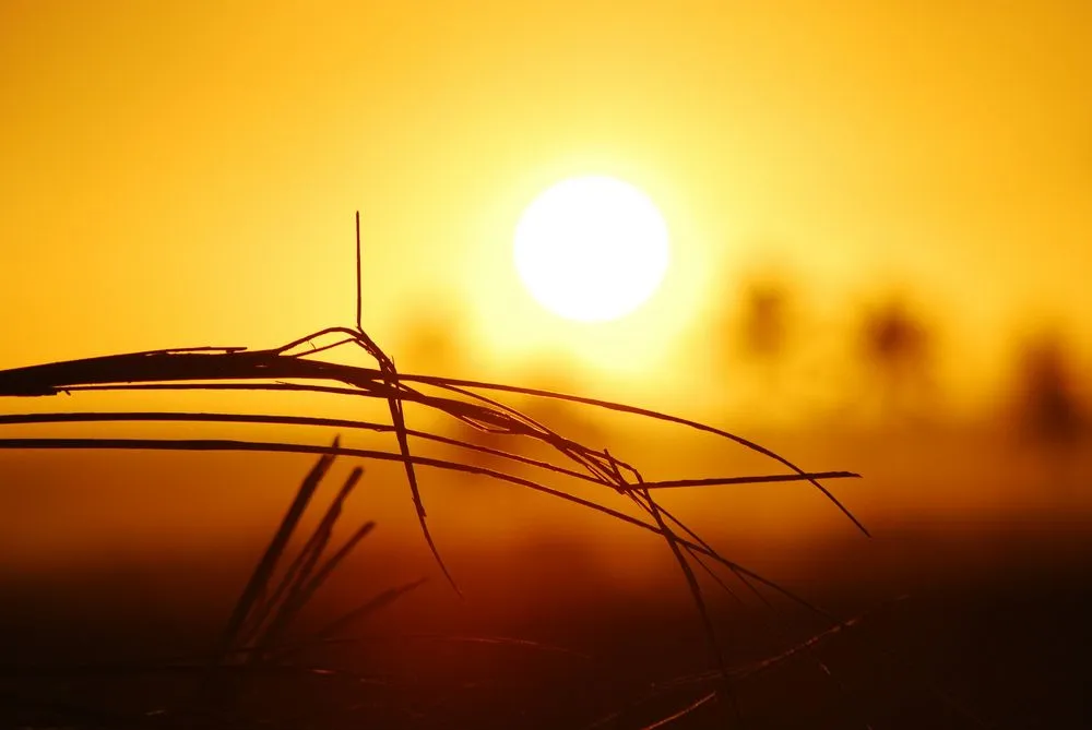 Ondate di calore in Piemonte: fino al 20 settembre attivo il programma di tutela