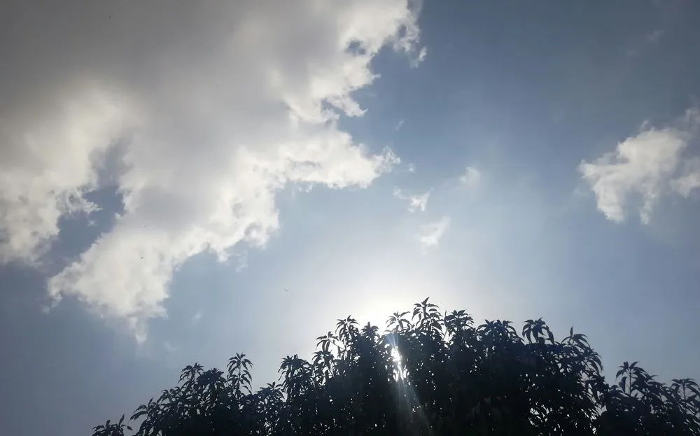 Previsioni meteo Torino 19 giugno: caldo estremo in città, allerta gialla