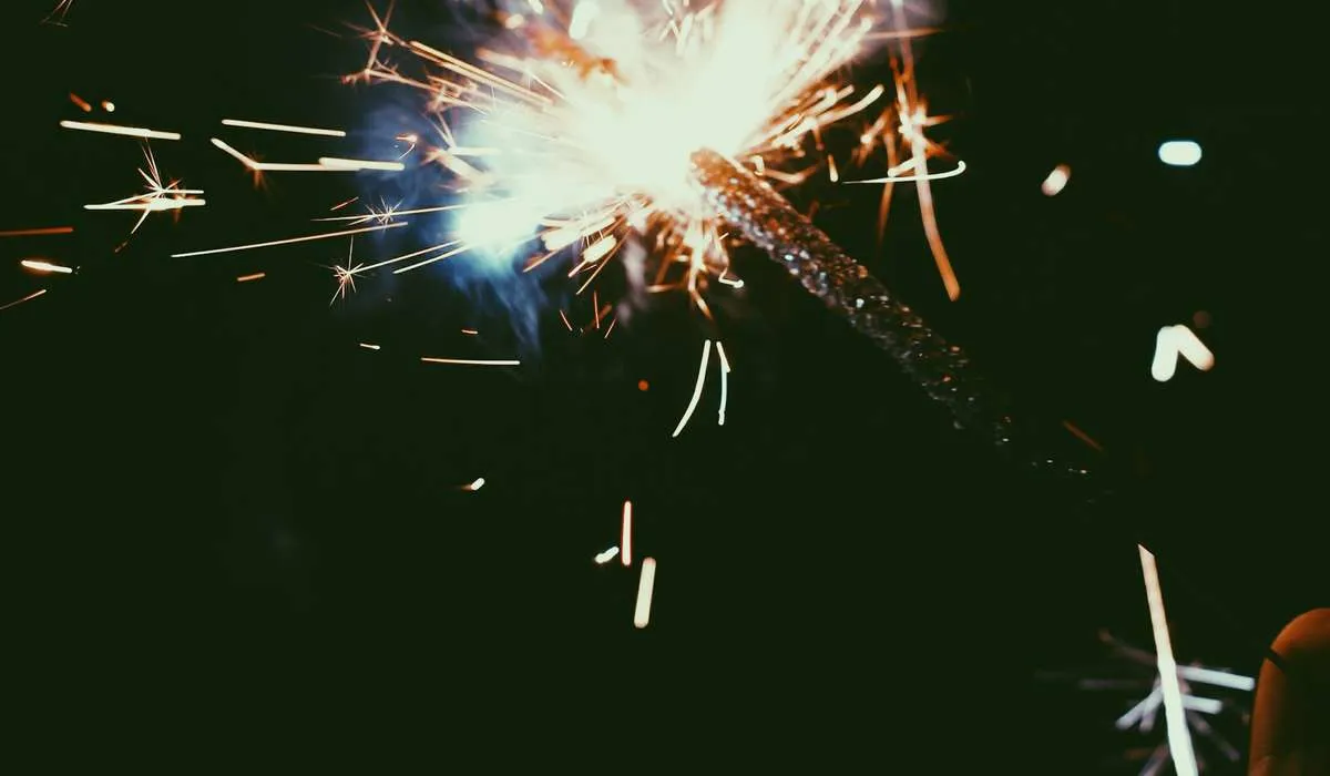 Capodanno 2026 a Torino, il concerto si svolgerà all’Inalpi Arena: le novità
