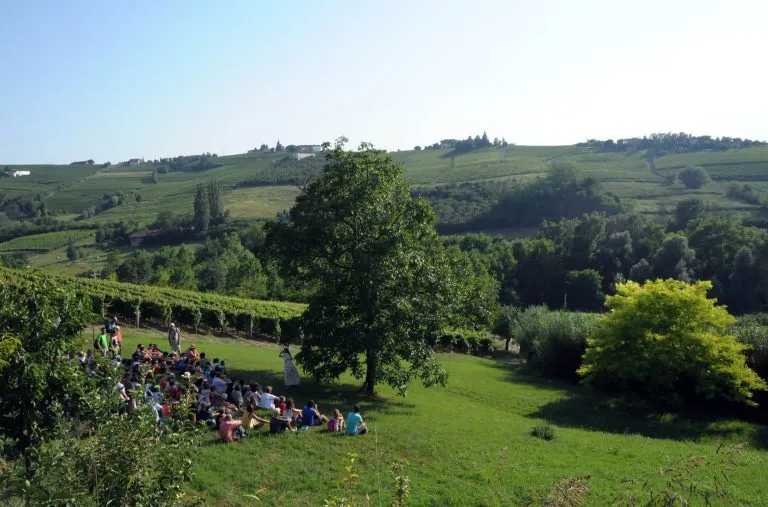 Il Teatro degli Acerbi, Gli appuntamenti estivi
